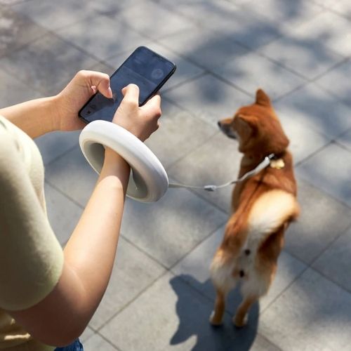 For Your Pet
